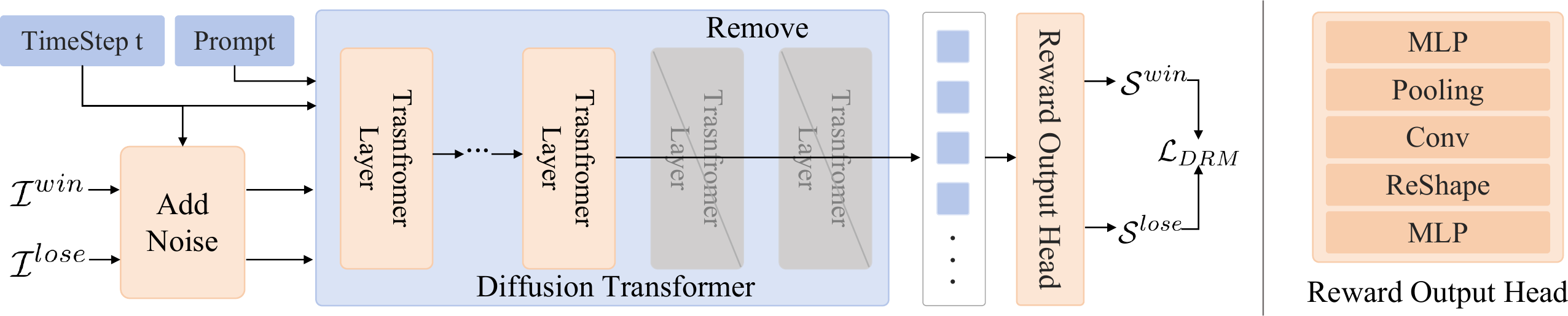 DRM architecture and training pipeline